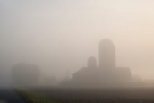 The Foggy Barn